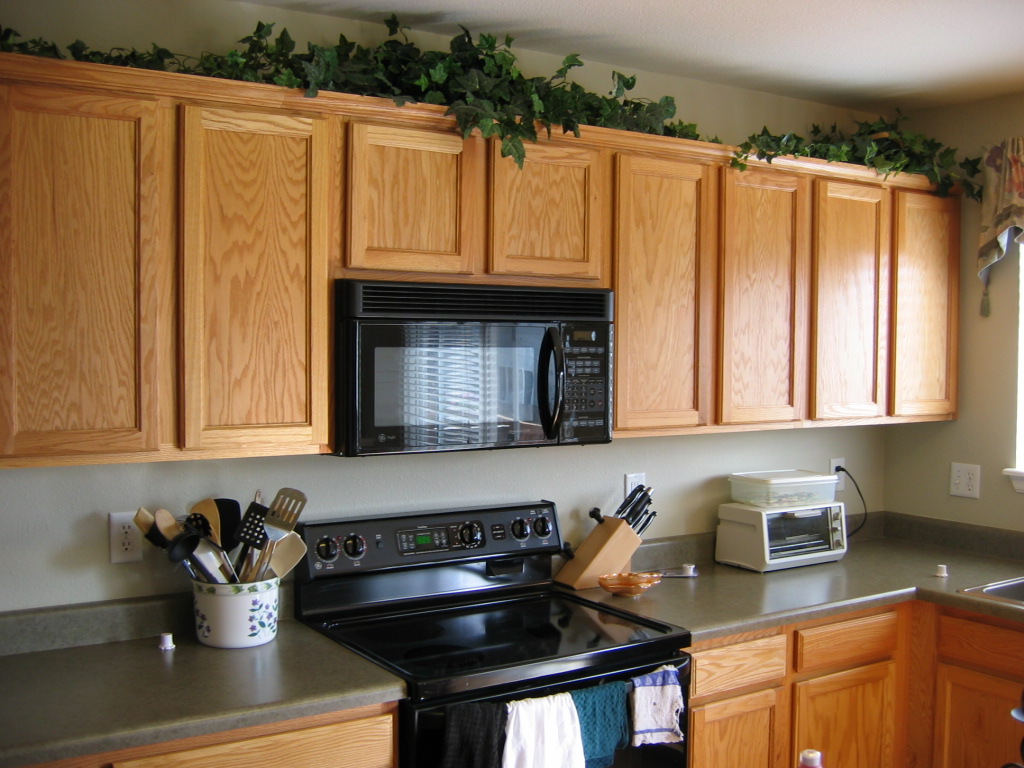Plants above the kitchen cabinets